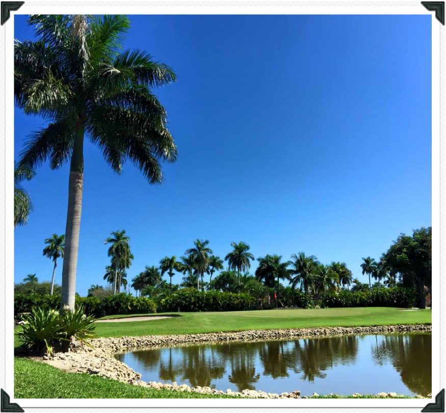 Hollywood Beach Golf Resort Photos Florida Historic Golf Trail